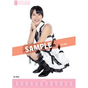 AKB-113 仲谷明香 [2012年ポスターカレンダー]