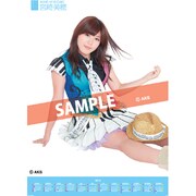 AKB-147 宮崎美穂 [2012年ポスターカレンダー]
