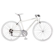 ABSS19WH FUJI12 ABSOLUTE S 19