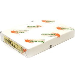 情報用紙 A4(500) クリーム