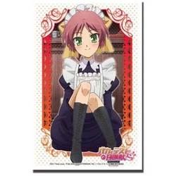 ヨドバシ Com ブシロード ブシロードスリーブhg158 島田美波 通販 全品無料配達