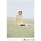 新垣結衣 [2012年カレンダー]