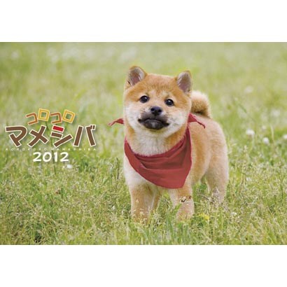 コロコロマメシバ [2012年カレンダー]