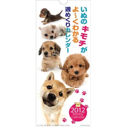 いぬのキモチがよ～くわかる週めくり [2012年カレンダー]