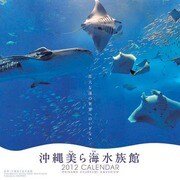 沖縄美ら海水族館 [2012年カレンダー]