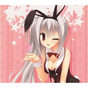 DRACU-RIOT！キャラクターソングVol.4 エリナ・オレゴヴナ・アヴェーン（CV:鈴木恵莉央） [音楽CD]