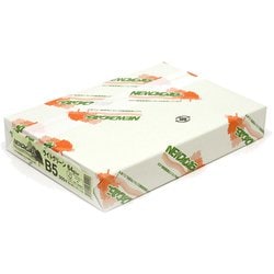 情報用紙 B5(500) ライトグリーン
