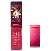 docomo STYLE series F-02D [携帯電話]