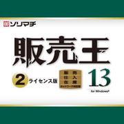 販売王13販売・仕入・在庫 2ライセンスパック [Windowsソフト]