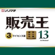 販売王13販売・仕入・在庫 3ライセンスパック [Windowsソフト]