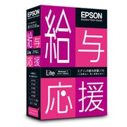 給与応援Lite スタンドアローン版 平成23年度年末調整対応版 [Windowsソフト]