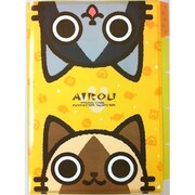 5インデックス オレンジ [AIROU]