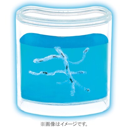 ヒーリングラボ アンツルーム ブルー