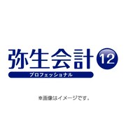 弥生会計 12 プロフェッショナル UG版(会計Stdユーザー用) [ライセンスソフト]