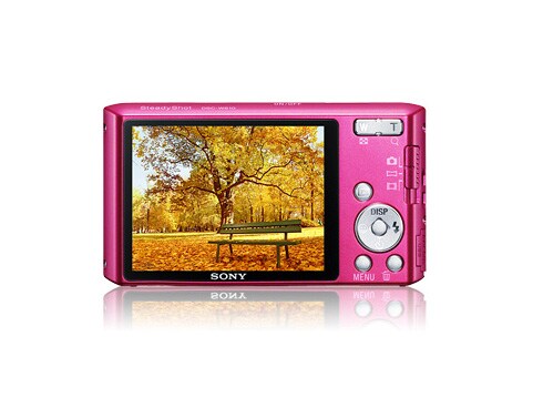 SONY サイバーショット DSC-W610 ブルー デジカメ Sony Cyber-Shot DSC-W610 Digital Camera (Blue) DSCW610/L B&H