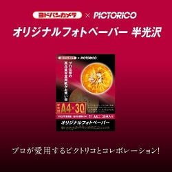 ヨドバシ.com - ピクトリコ PICTORICO YPSG-A4/30 [オリジナルフォト