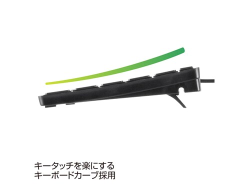 (まとめ)サンワサプライ USBスリムキーボード SKB-SL17BKN〔×2セット〕 キーボード 有線 USB A USBキーボード テンキーあり