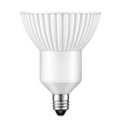 LED電球 E11口金 電球色相当 310lm 広角(32°) ELM(エルム) DL-JW3BL