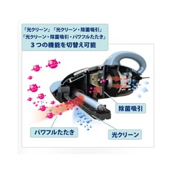 海外輸入 インボイス ヨドバシ.com raycop ふとん専用ダニクリーナー レイコップ - その他