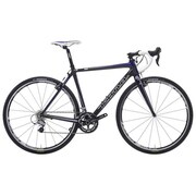 12KNF366 MAJOR JAKE FRAME CARBON PURPLE