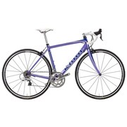 12KNB248 Kali Violet Purple White SC45cm
