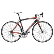 12KNB253 King Zing  Orange Black M  53