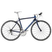 12KNB256 Zing Blue Blue White SC53cm
