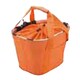 CITRUS TALL ORANGE BK-S2-003