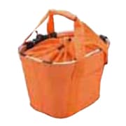 CITRUS TALL ORANGE BK-S2-003