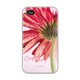 OS-I4-185 [iPhone4/4S用ケース Women in Love]