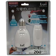 LED電球 E26口金 電球色 220lm 特殊形状 Lui（ルイ） LU-01L