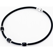 IONSM-001 BK Oregon I.balance
