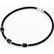 IONSL-001 BK Oregon I.balance
