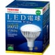 LED電球 チョークレス水銀ランプ形 E26口金 昼白色 1600lm 500カンデラ E-CORE（イー・コア） LDR100/200V19N-H