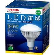 LDR100/200V19N-H [LED電球 チョークレス水銀ランプ形 E26口金 昼白色 1600lm 500カンデラ E-CORE（イー・コア）]