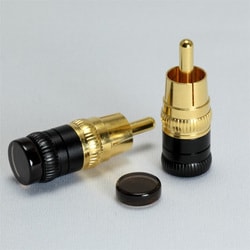 ヨドバシ.com - アコースティックリバイブ Acoustic Revive RCA