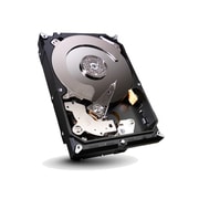3.5インチ 3TB SATA600 内蔵ハードディスク【バルク品】 デスクトップ用 ST3000DM001
