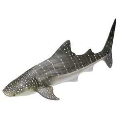 開催中セール一覧 シュライヒ - ヨドバシ.com Schleich [WILD ジンベイザメ 16089 その他