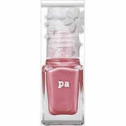 pa ネイルカラープレミア AA69
