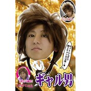 コスプレ THEカツラ ギャル男 [コスプレアイテム]