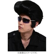 コスプレ THEカツラ リーゼント