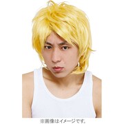 コスプレ THEカツラ チャラ男