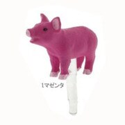 「PLUG APLI」ブタ (pk)