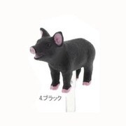 「PLUG APLI」ブタ (bk)