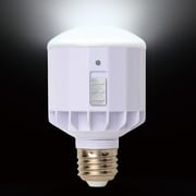 LEDポータブルライト E26口金 昼光色 312lm BL-PT5W