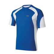 1020522M768 [PALOMAR TEE M/ 768 / ROYAL / WHITE]