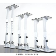 T-S310 S [マグマタイシン]