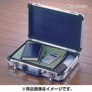 AM-10 [アルミケース]