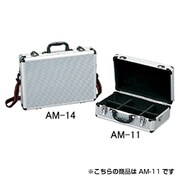 AM-11 [アルミケース]