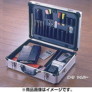 AM-15 [アルミケース]